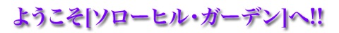 solo_welcome_cg