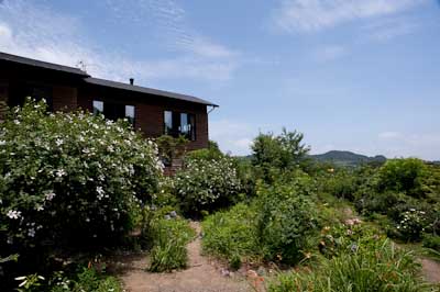_DSC0392
