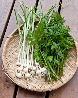 _DSC4433