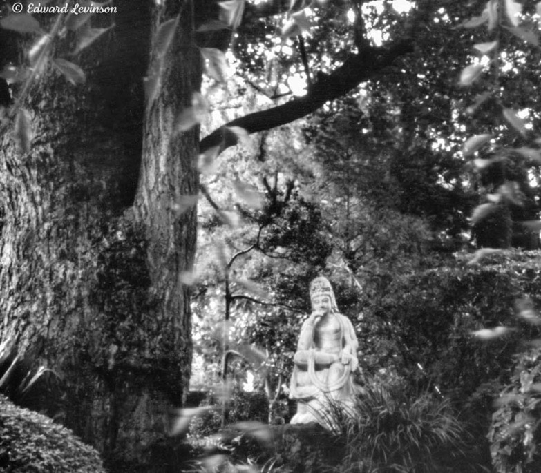 Edward_Levinson kamakura tera-2
